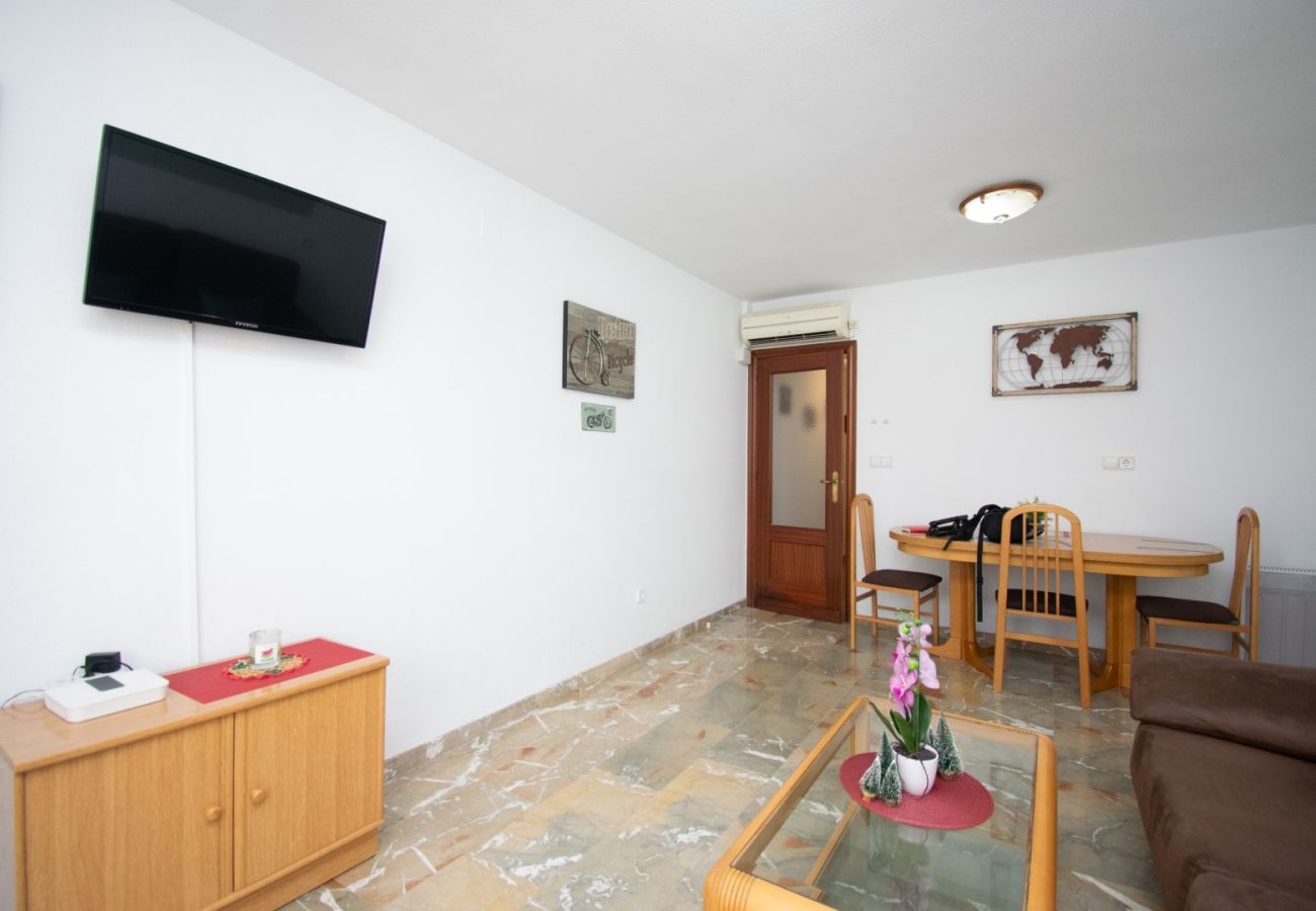 Apartamento en Benidorm - TOMAS ORTUÑO 48 2C