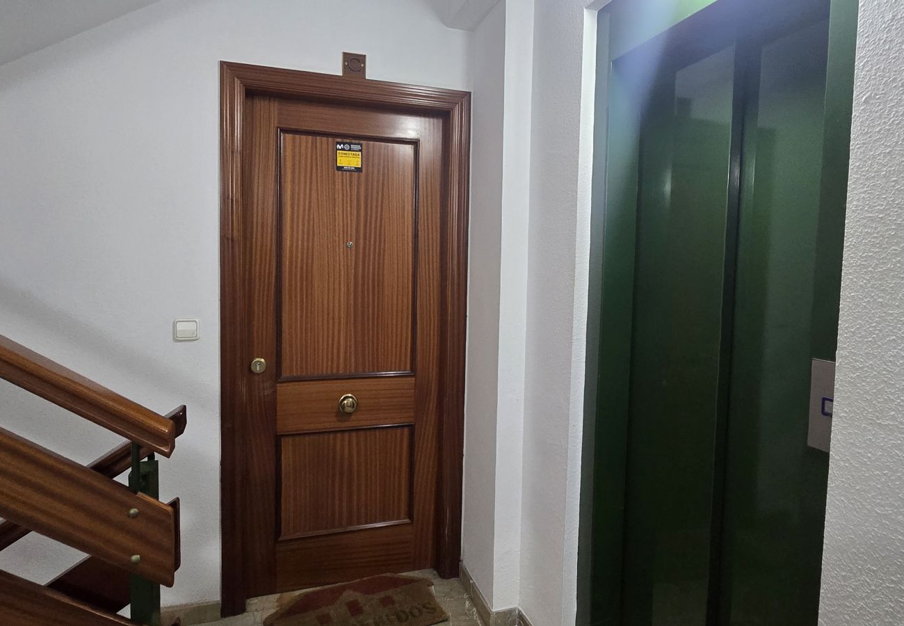 Apartamento en Benidorm - TOMAS ORTUÑO 48 2C