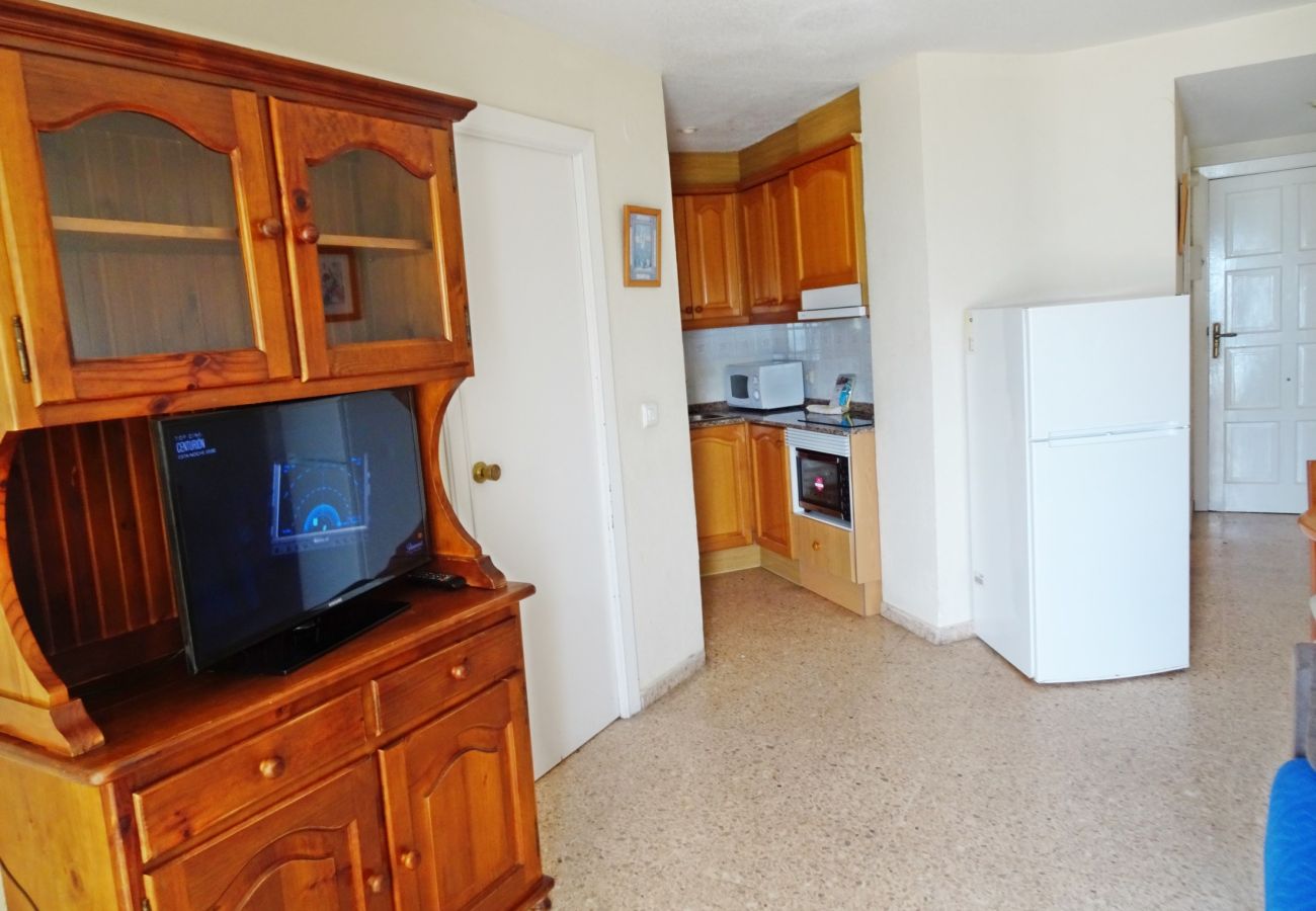 Apartamento en Gandia - INFANTE E4 - 13