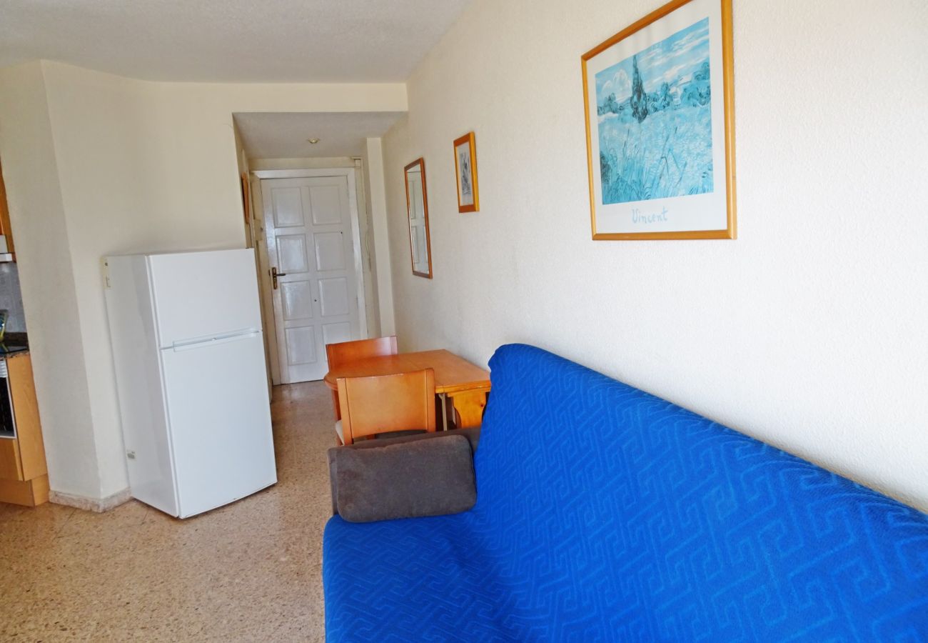 Apartamento en Gandia - INFANTE E4 - 13