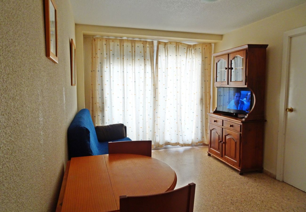 Apartamento en Gandia - INFANTE E4 - 13