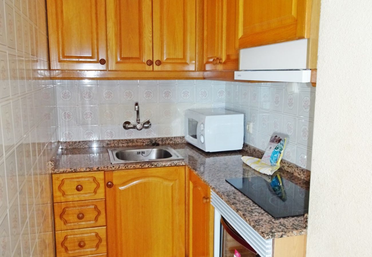 Apartamento en Gandia - INFANTE E4 - 13