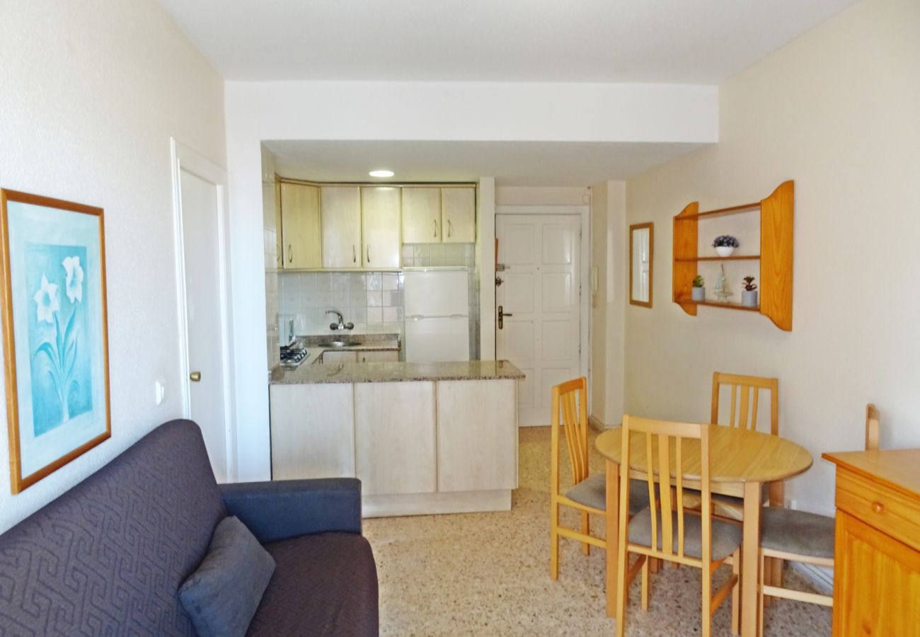 Apartamento en Gandia - INFANTE E5 - 2