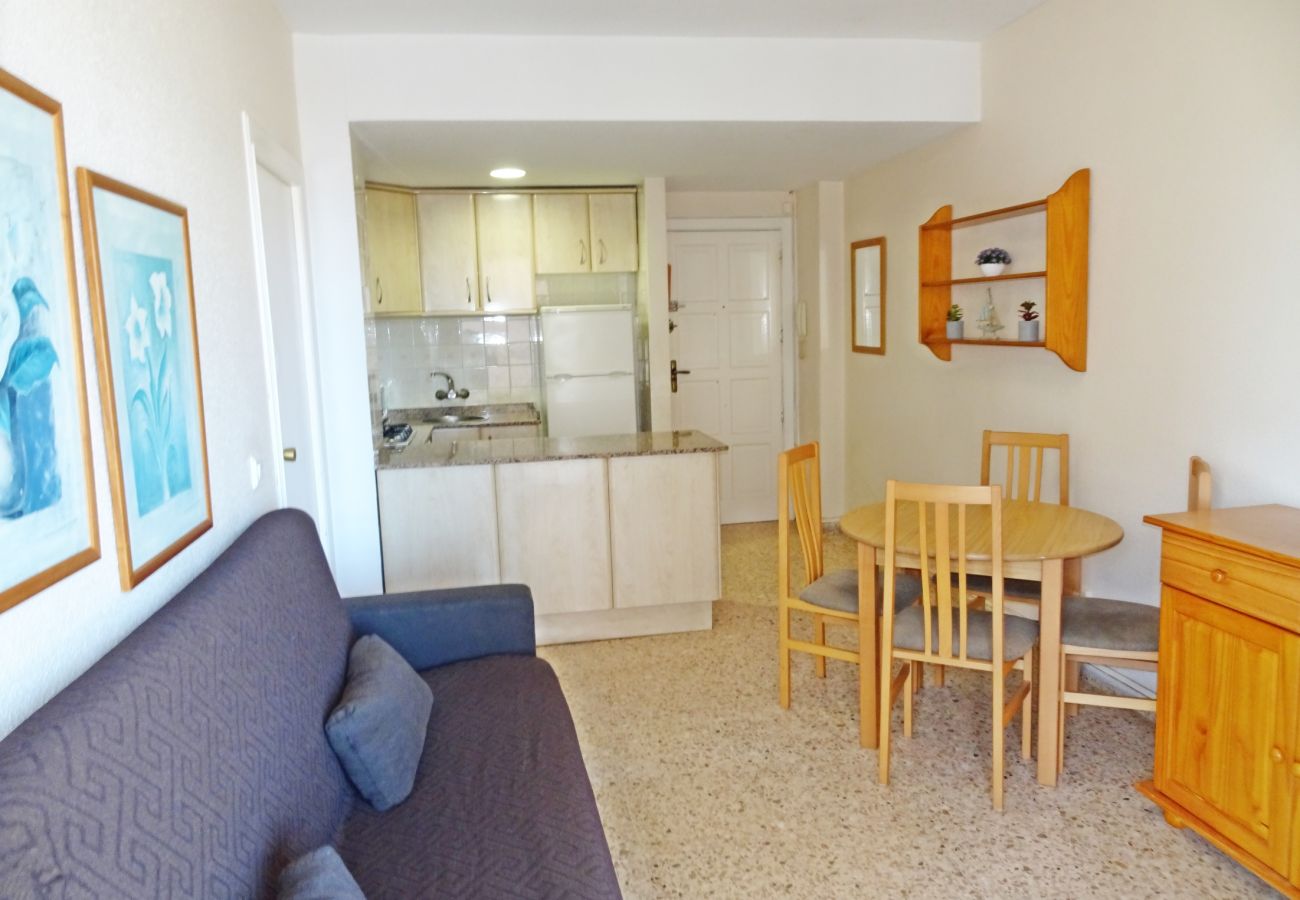 Apartamento en Gandia - INFANTE E5 - 2