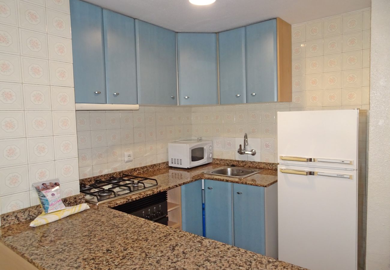 Apartamento en Gandia - INFANTE E5 - 6