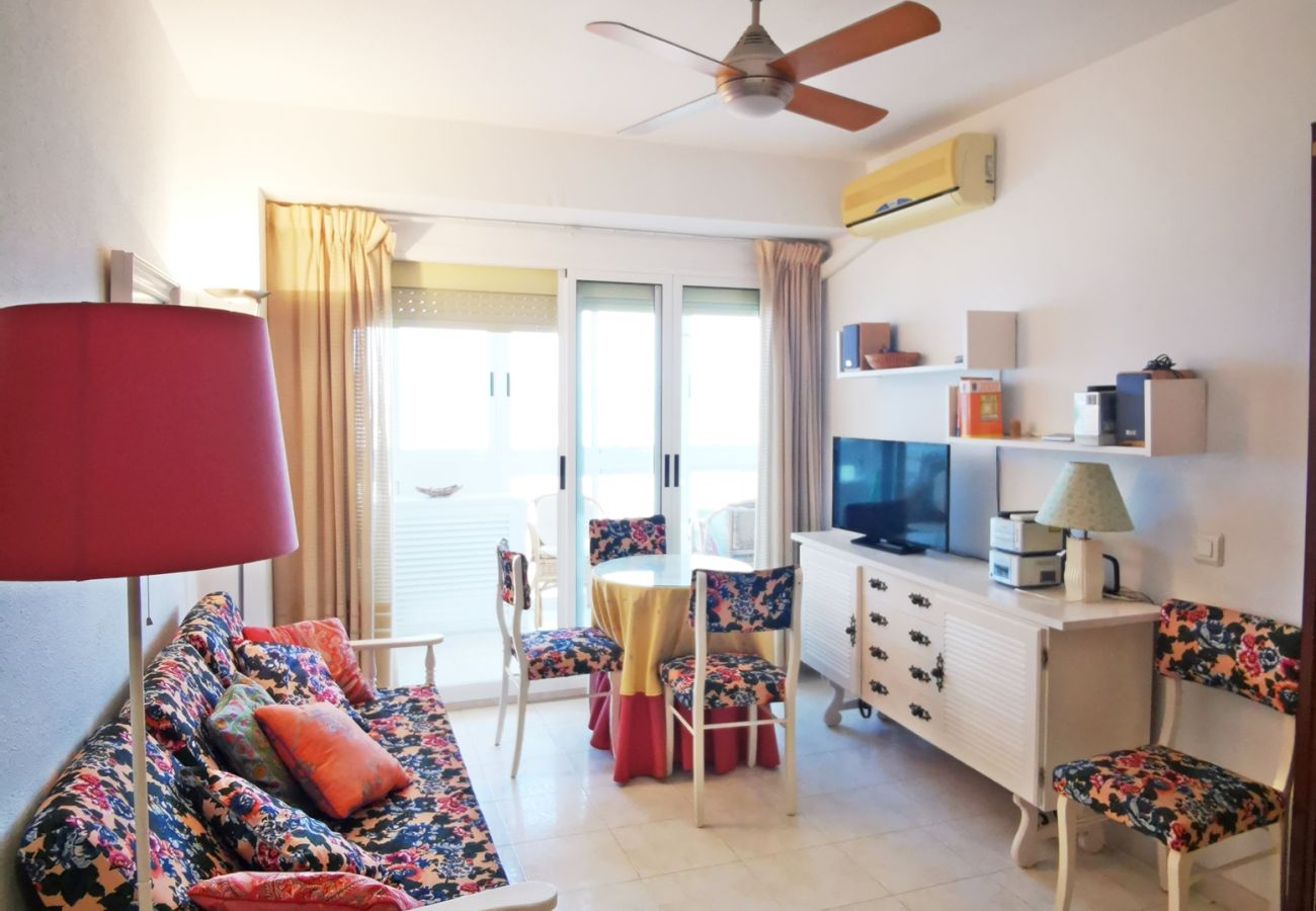 Apartamento en Gandia - INFANTE E5 - 13