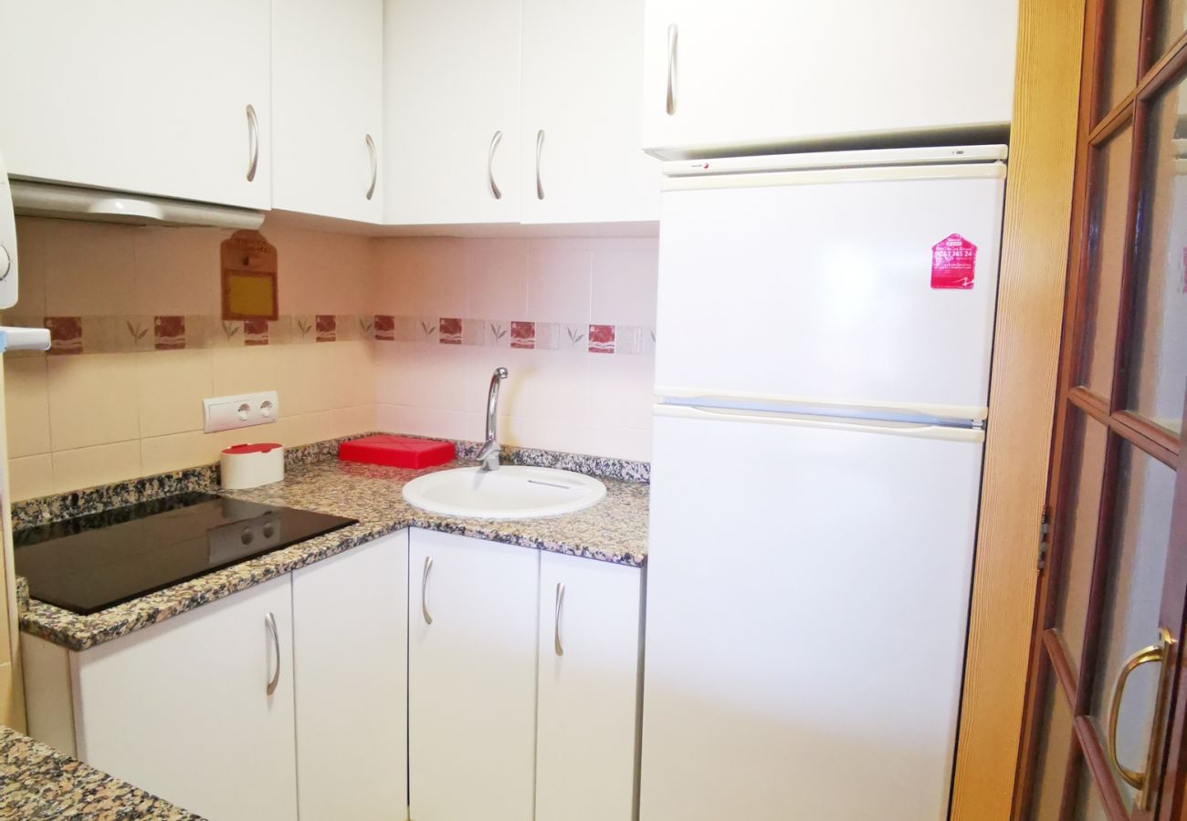 Apartamento en Gandia - INFANTE E5 - 13