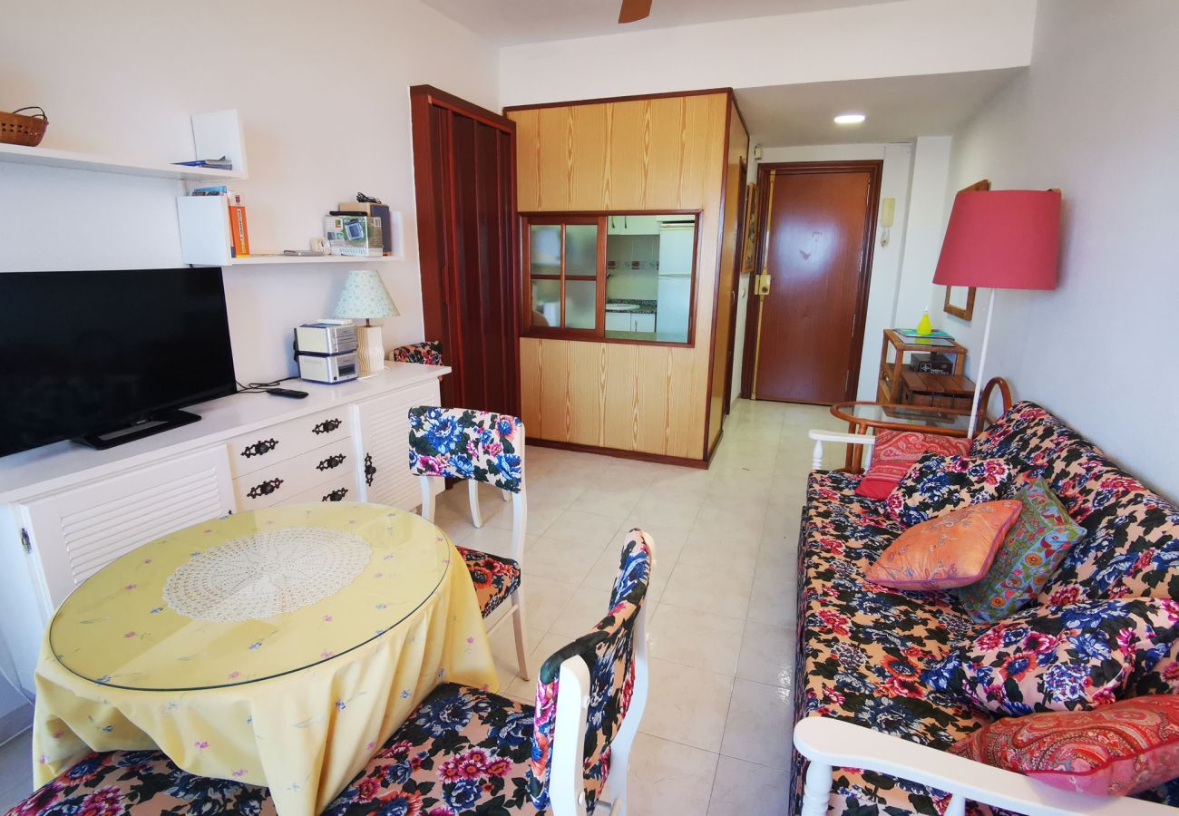 Apartamento en Gandia - INFANTE E5 - 13