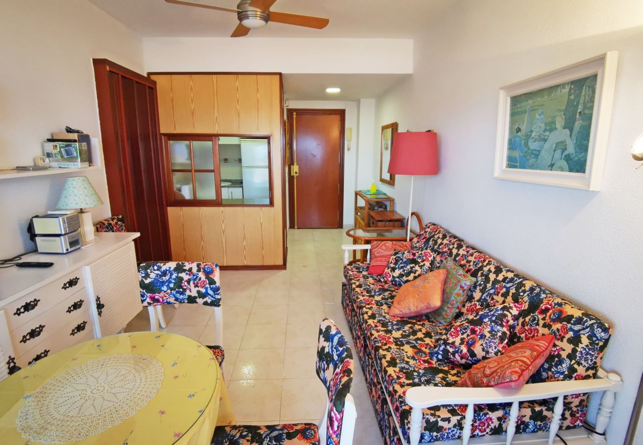 Apartamento en Gandia - INFANTE E5 - 13