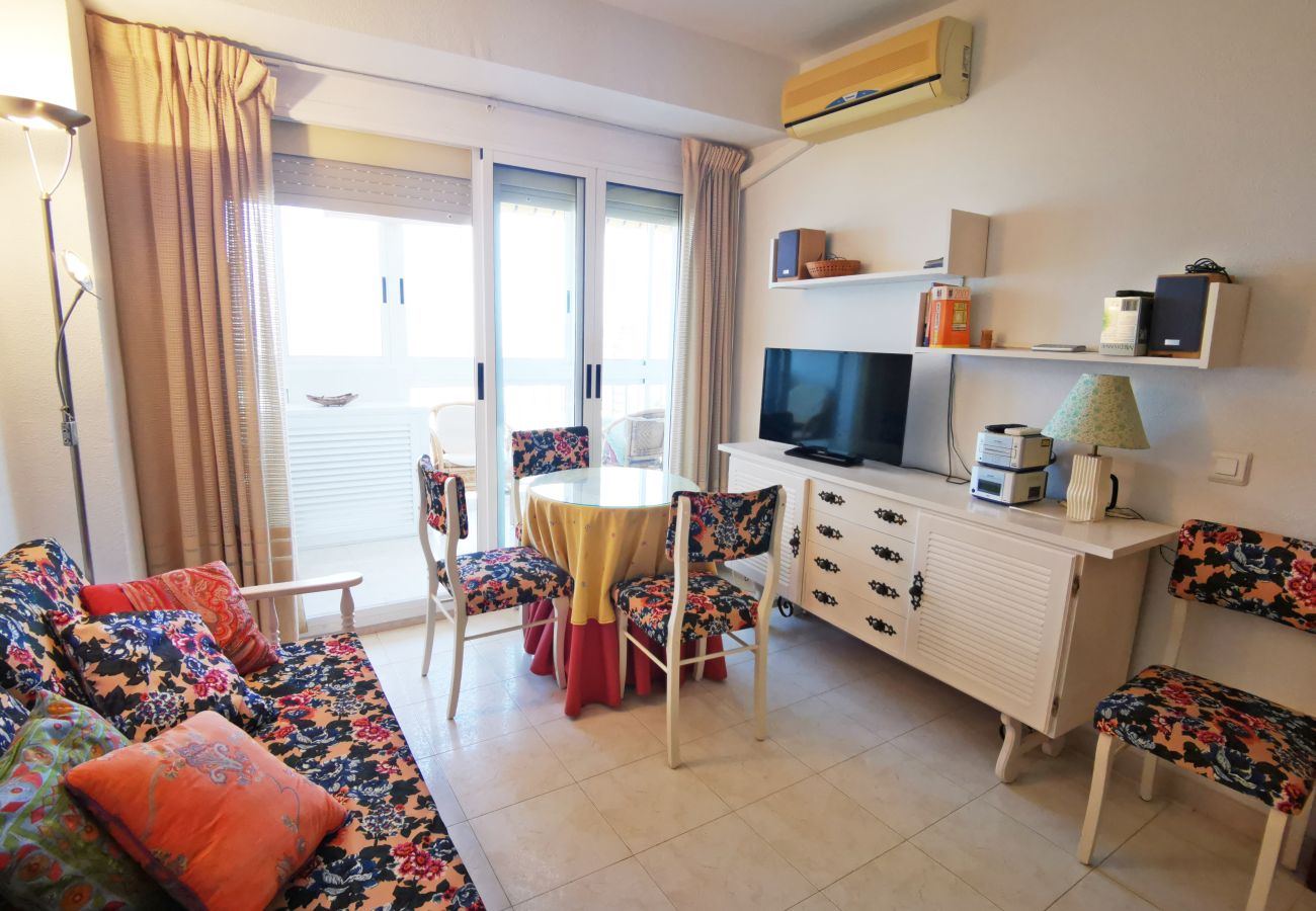 Apartamento en Gandia - INFANTE E5 - 13