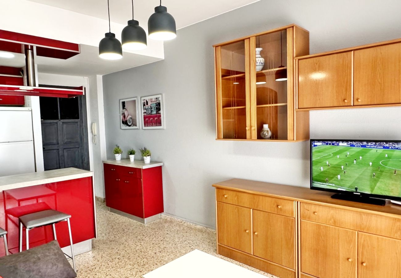 Apartamento en Gandia - INFANTE E8 - 8º