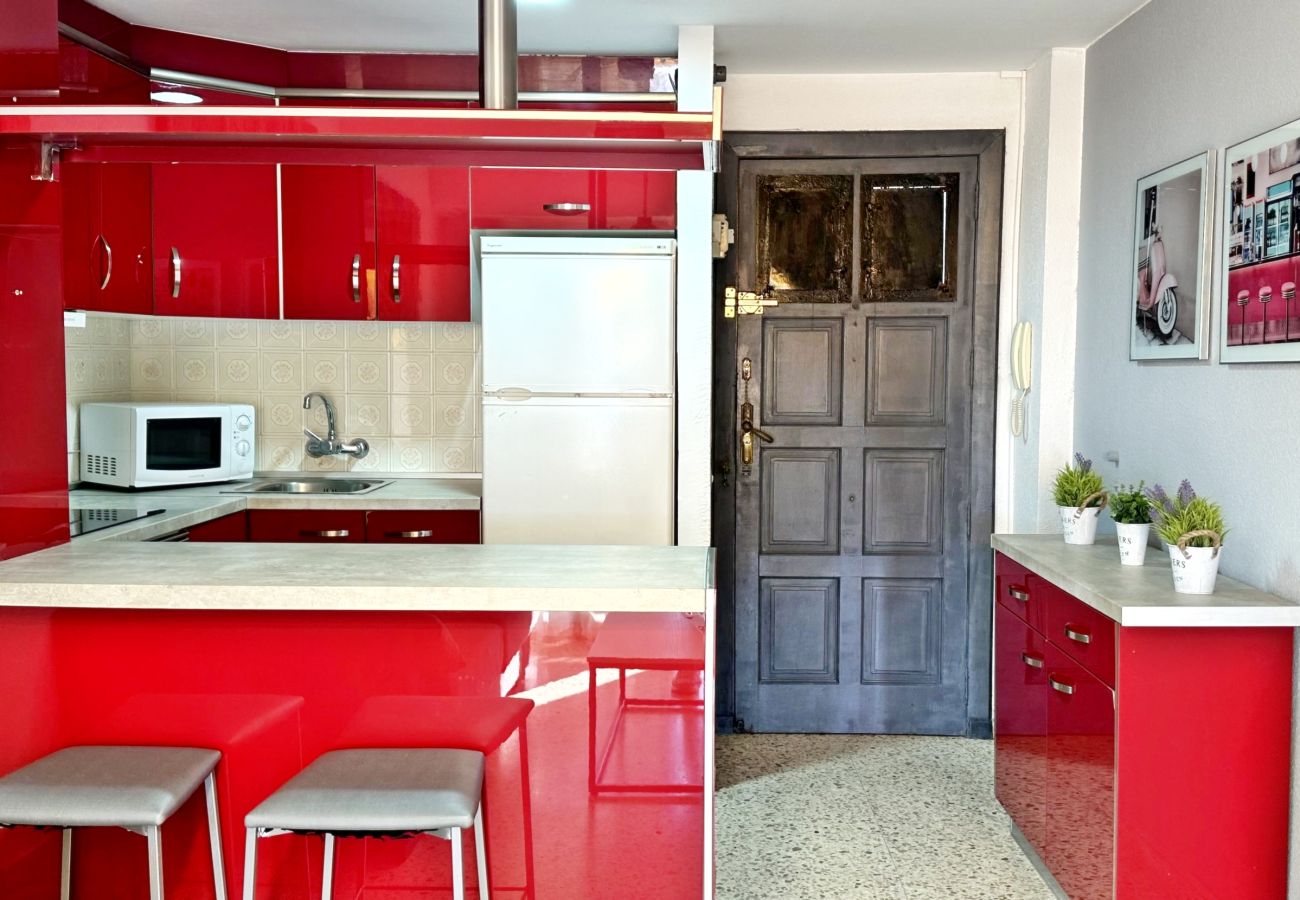 Apartamento en Gandia - INFANTE E8 - 8º