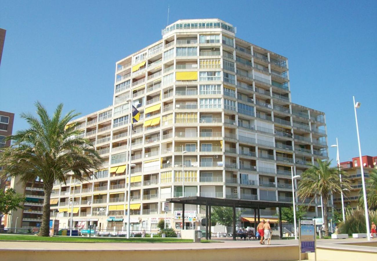 Apartamento en Gandia - INFANTE E8 - 9º