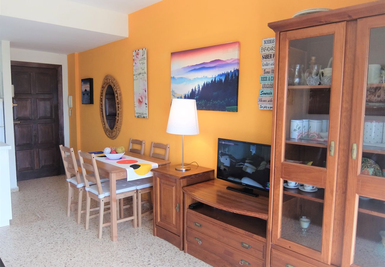 Apartamento en Gandia - INFANTE E8 - 9º