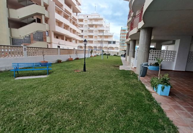 Apartamento en Peñiscola - OLIMPO 5º-28 2D (234)