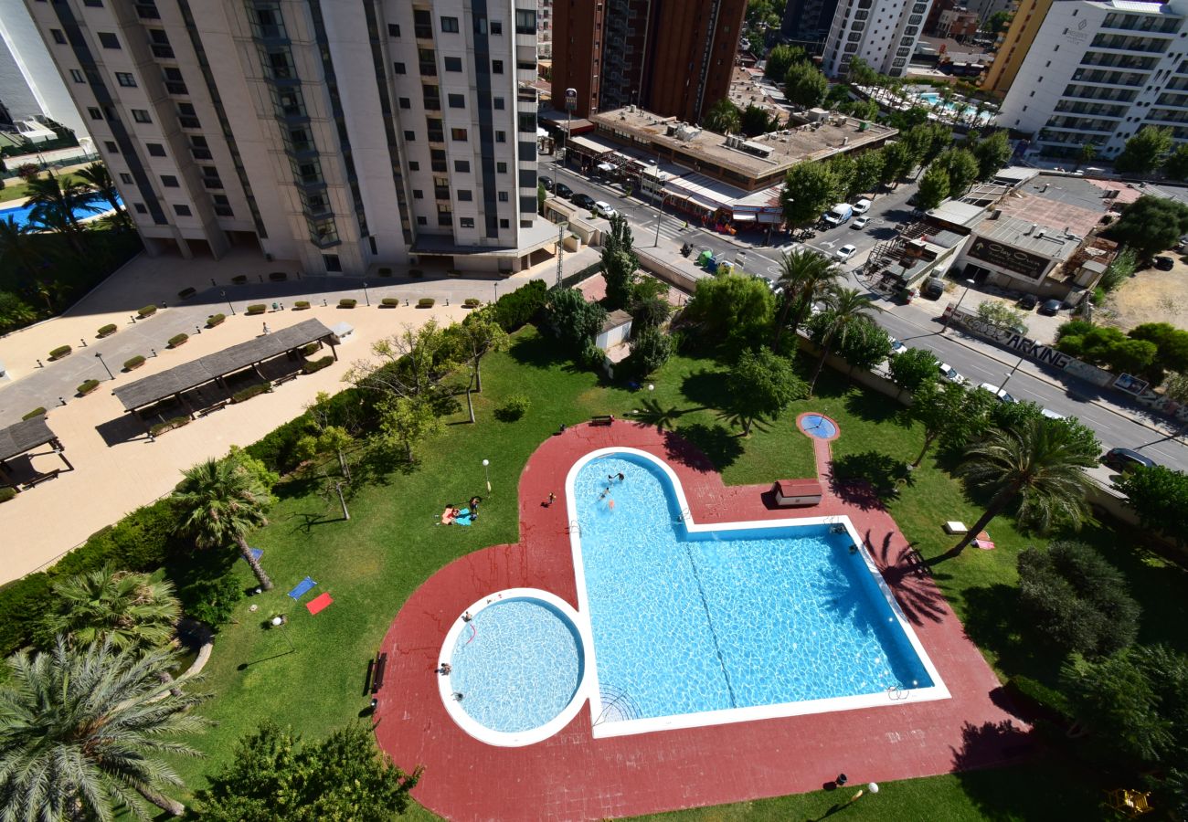 Apartamento en Benidorm - LIDERSOL 14G2