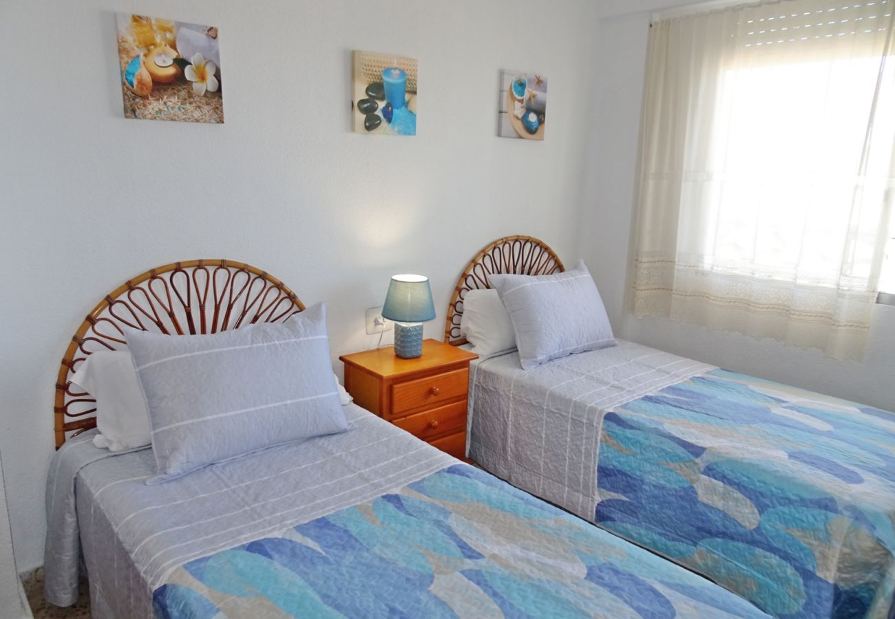 Apartamento en Gandia - INFANTE B - 13º