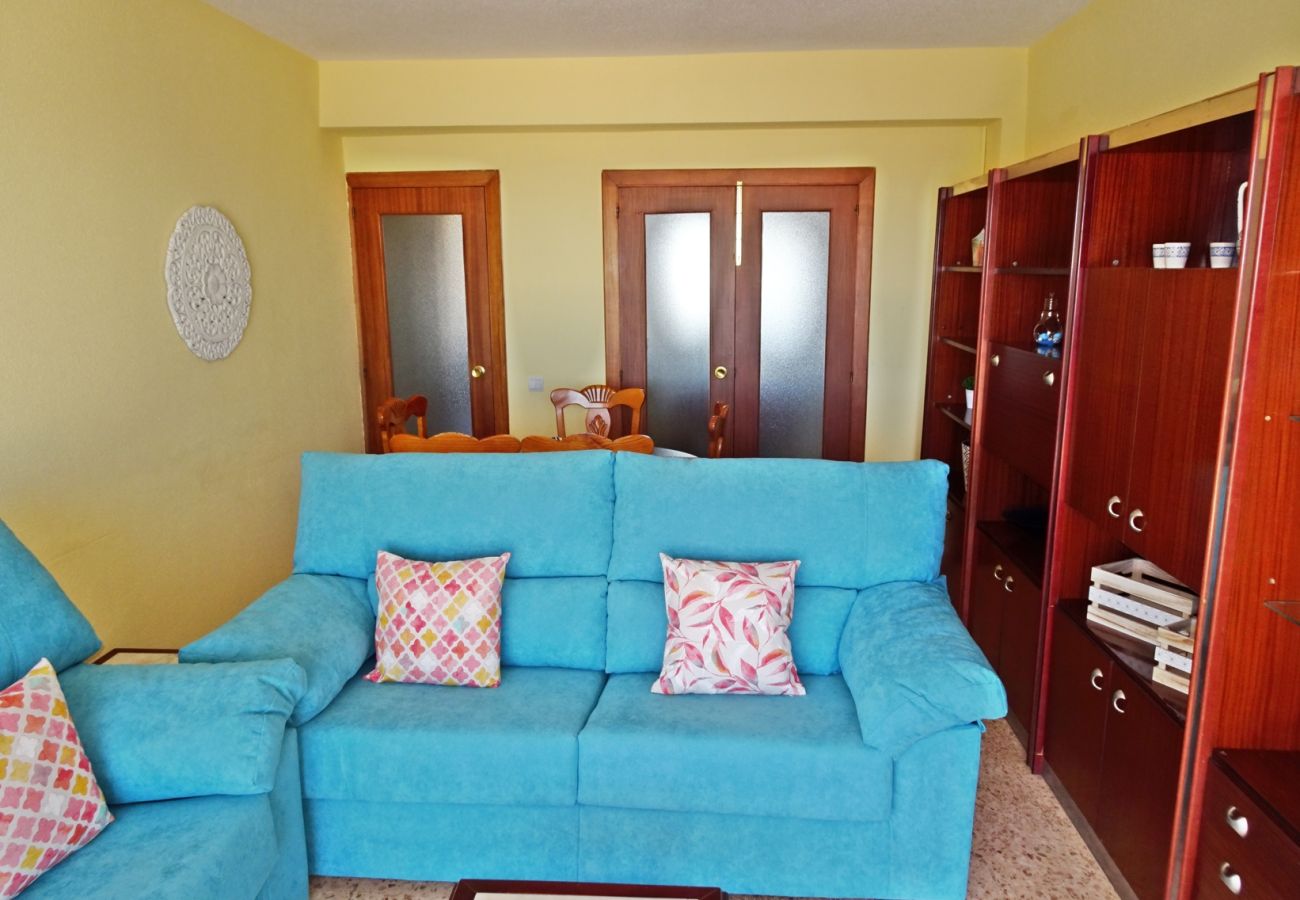 Apartamento en Gandia - INFANTE B - 13º