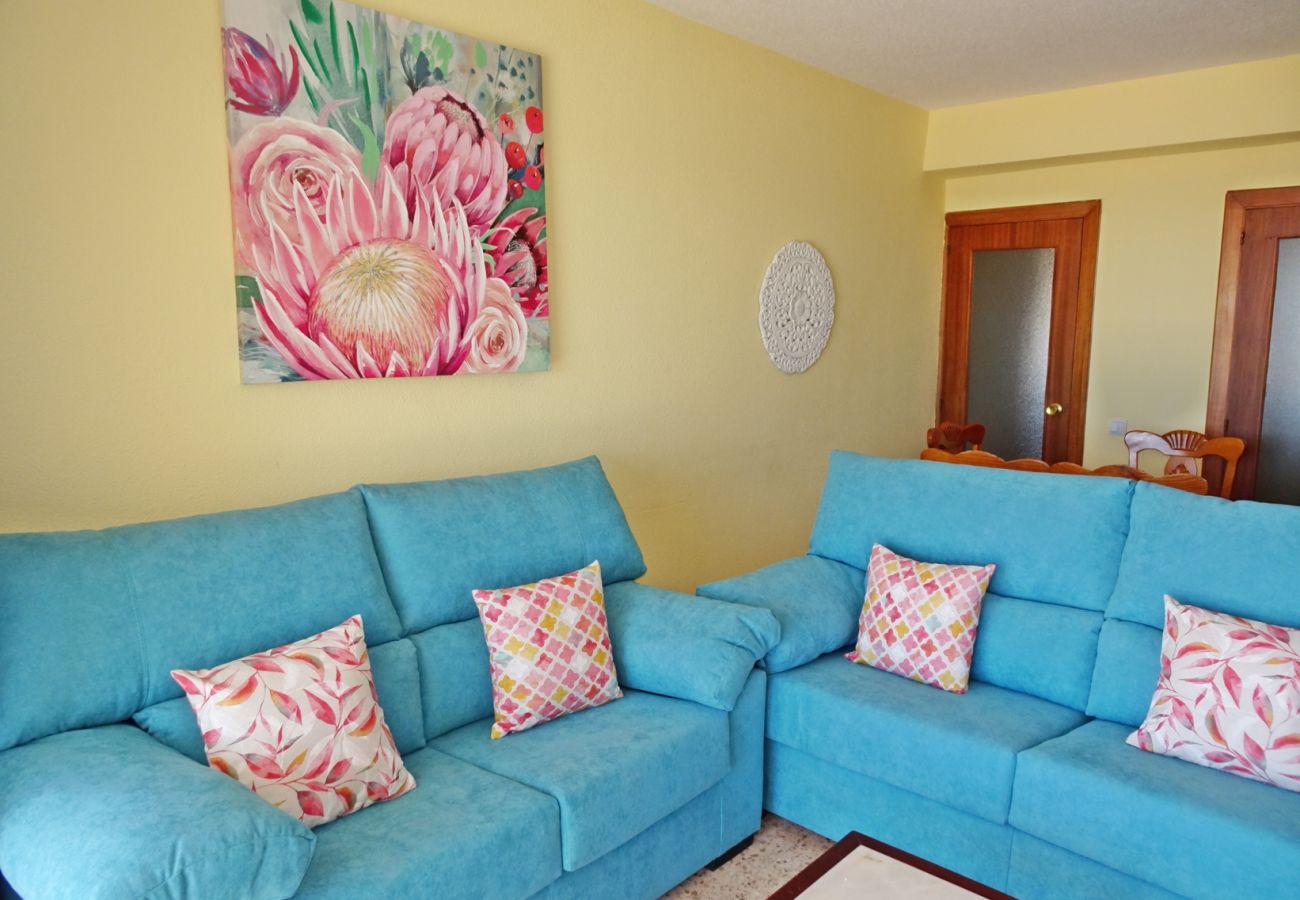 Apartamento en Gandia - INFANTE B - 13º