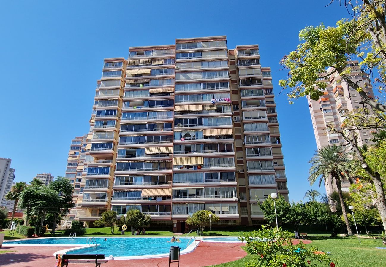 Apartamento en Benidorm - LIDERSOL 5G1