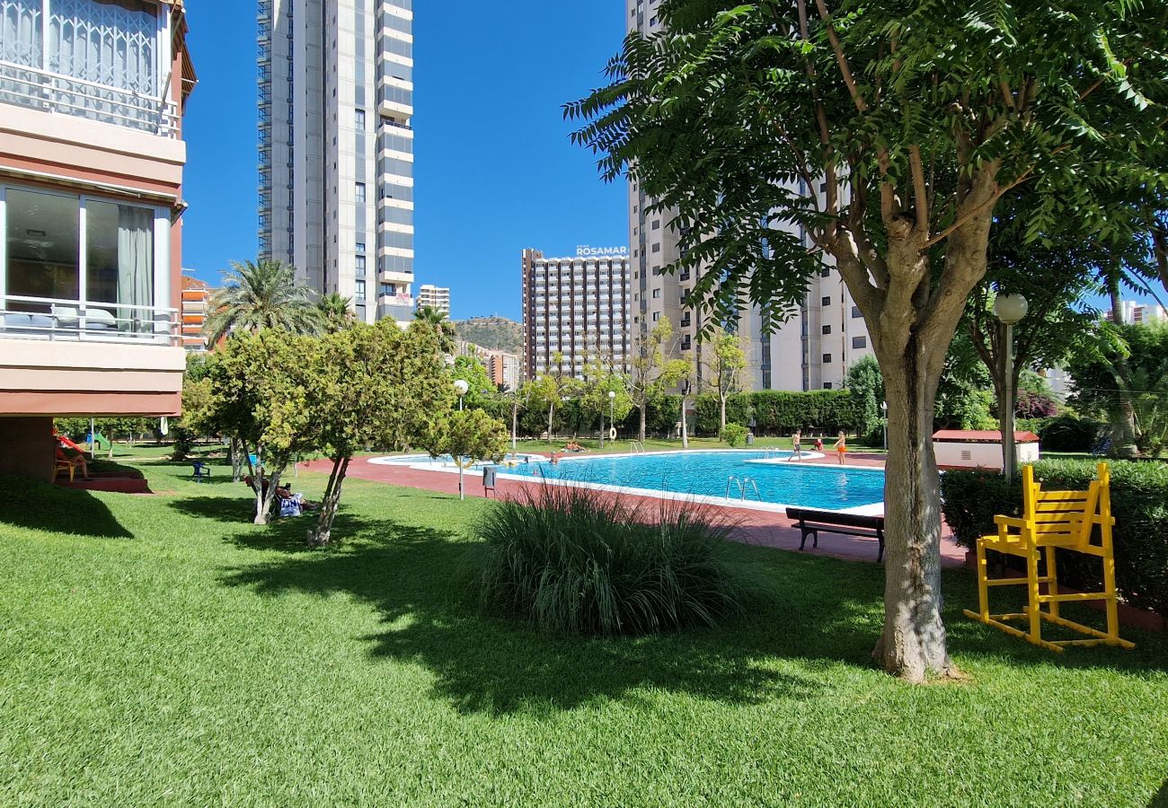 Apartamento en Benidorm - LIDERSOL 5G1