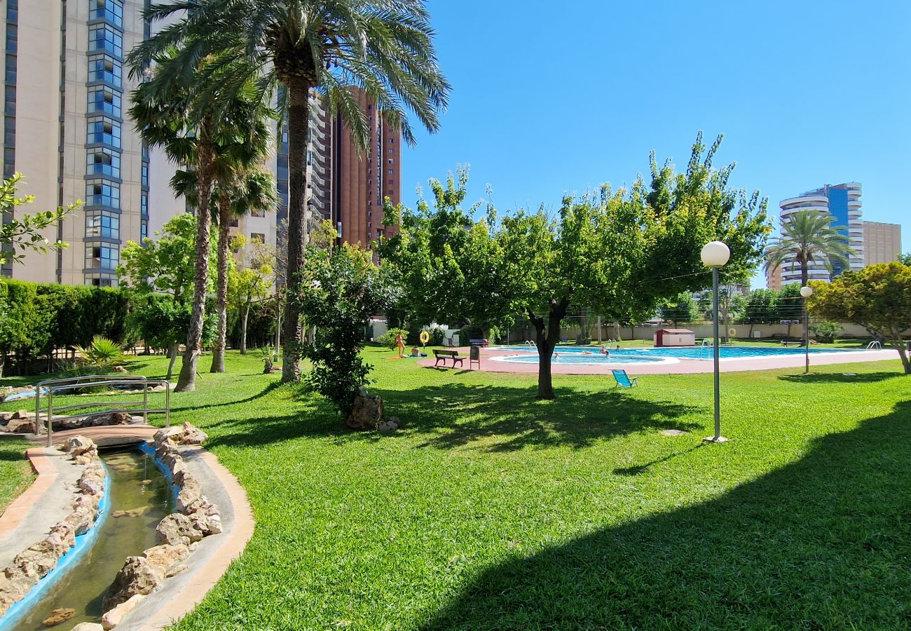 Apartamento en Benidorm - LIDERSOL 5G1