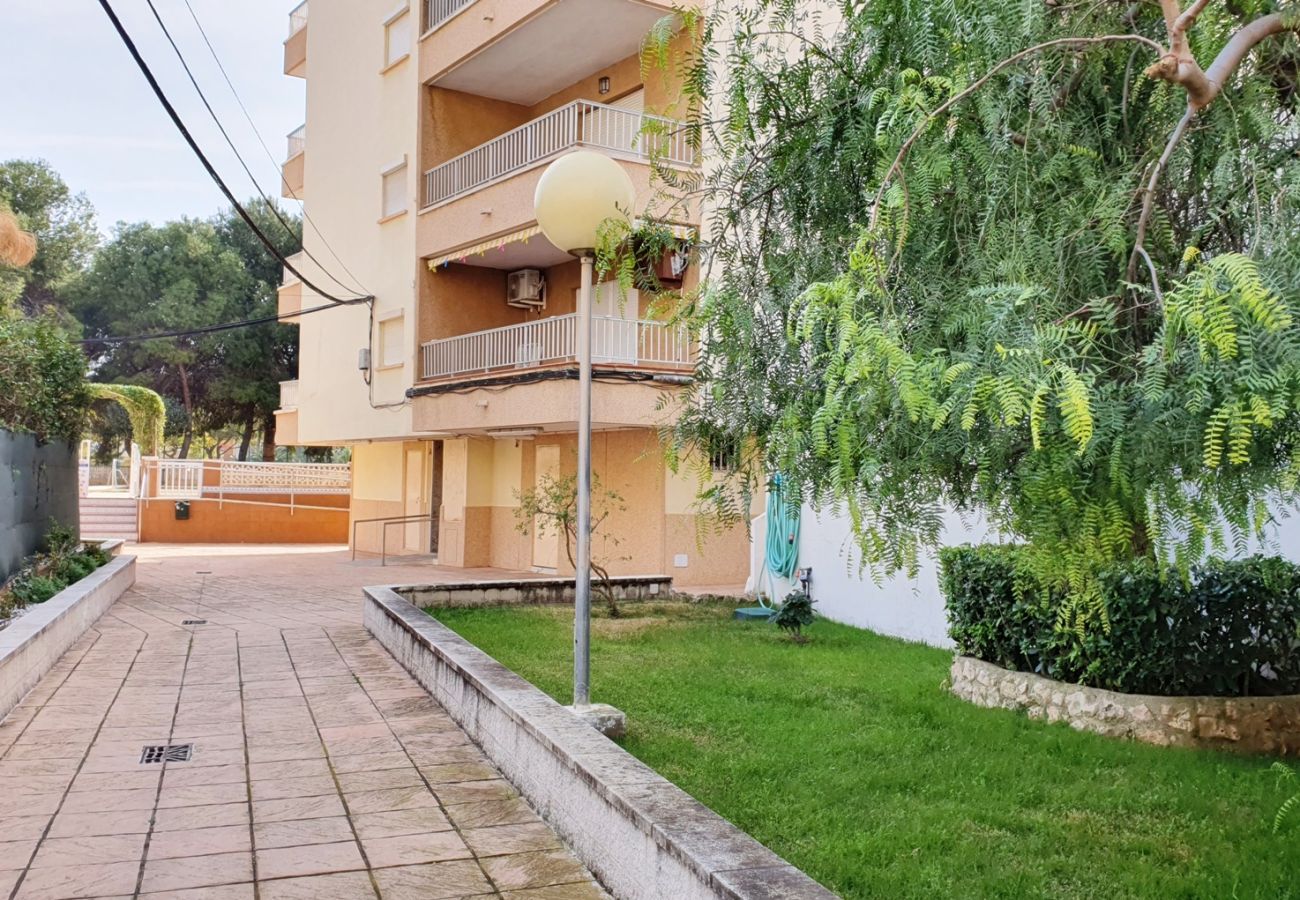Apartamento en Miramar Playa - EUROPA I - B - 7º - IZQ