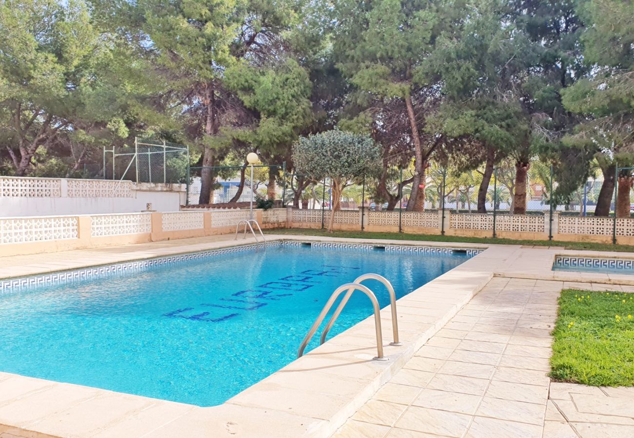 Apartamento en Miramar Playa - EUROPA I - B - 7º - IZQ