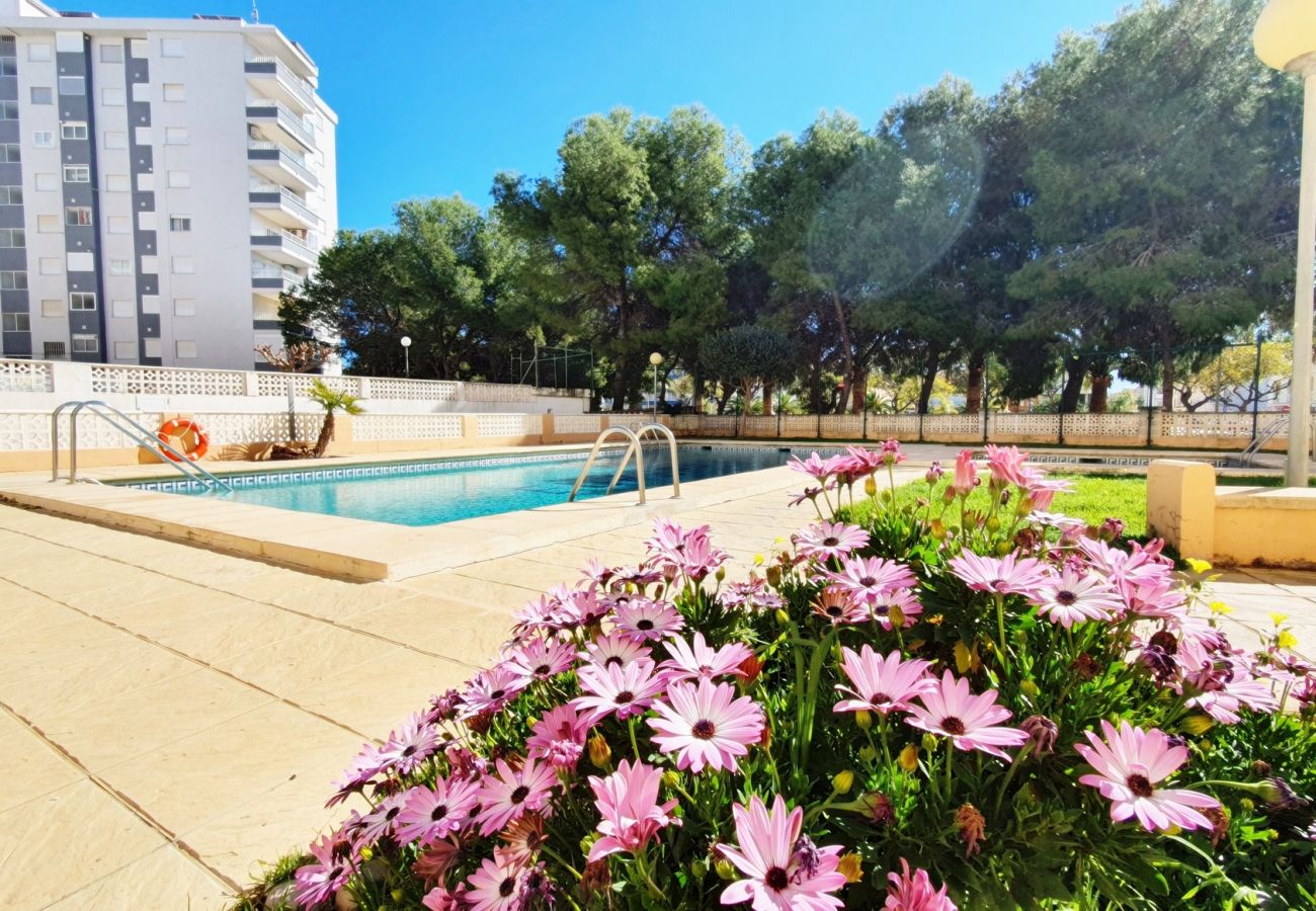 Apartamento en Miramar Playa - EUROPA I - B - 7º - IZQ