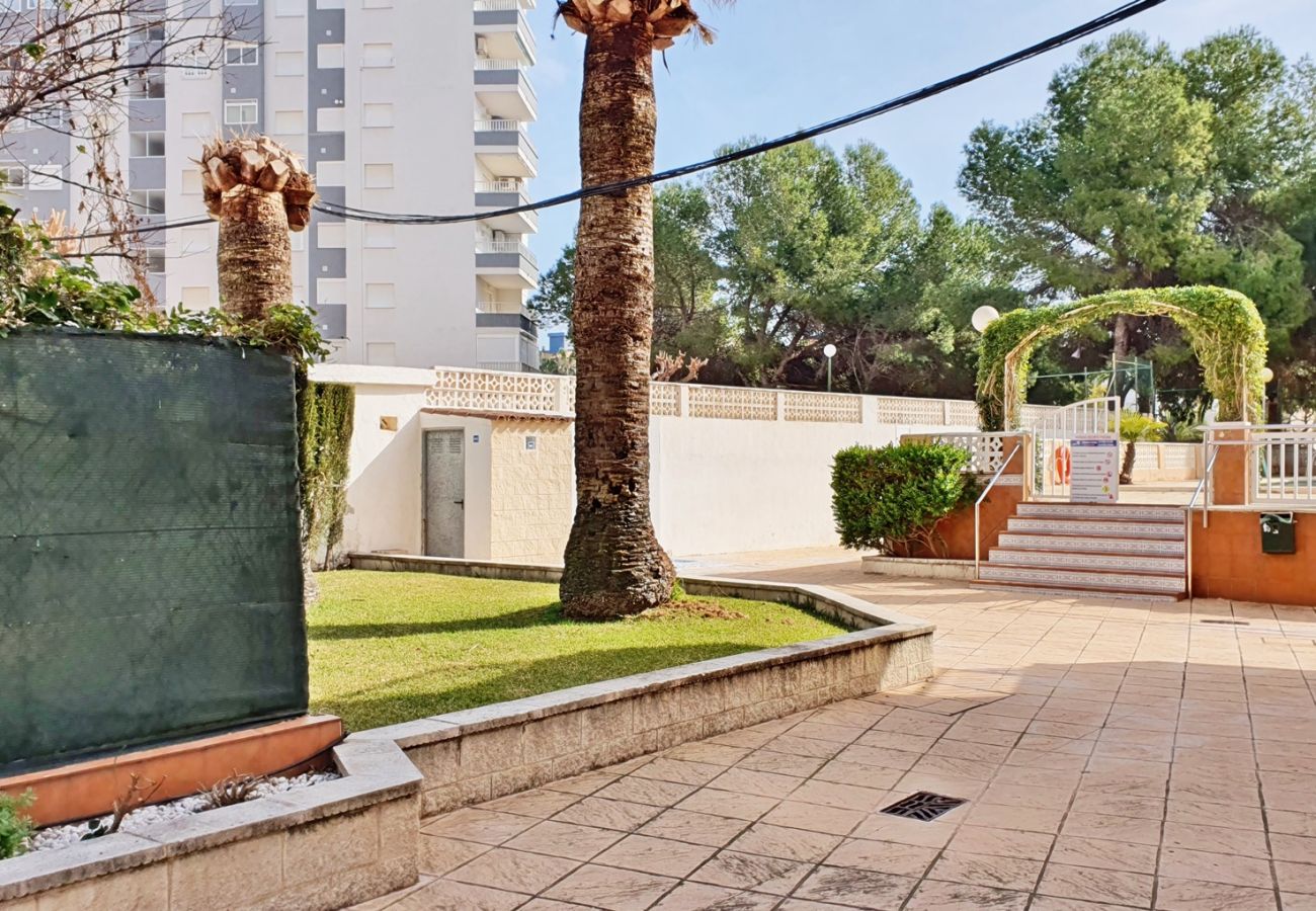 Apartamento en Miramar Playa - EUROPA I - B - 9º - Dcha