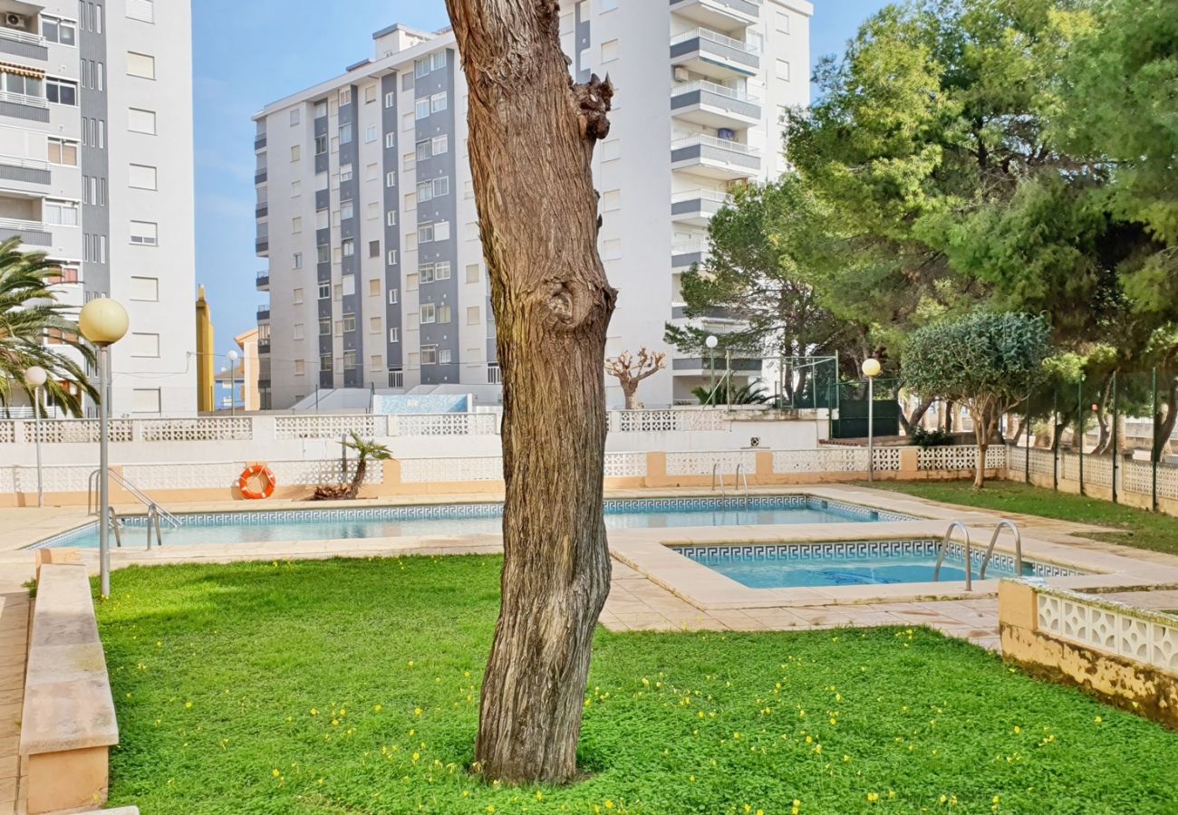 Apartamento en Miramar Playa - EUROPA I - B - 9º - Dcha