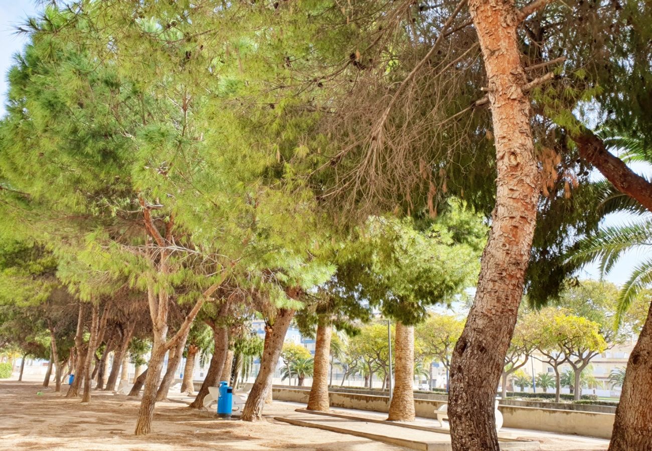 Apartamento en Miramar Playa - EUROPA I - B - 9º - Dcha