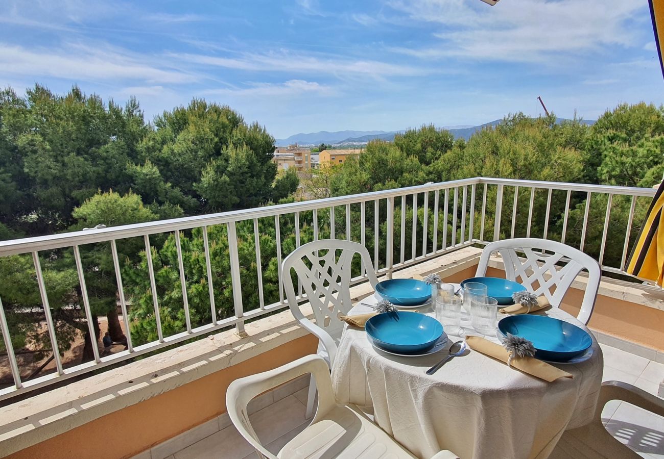 Apartamento en Miramar Playa - EUROPA I - C - 4º - Dcha