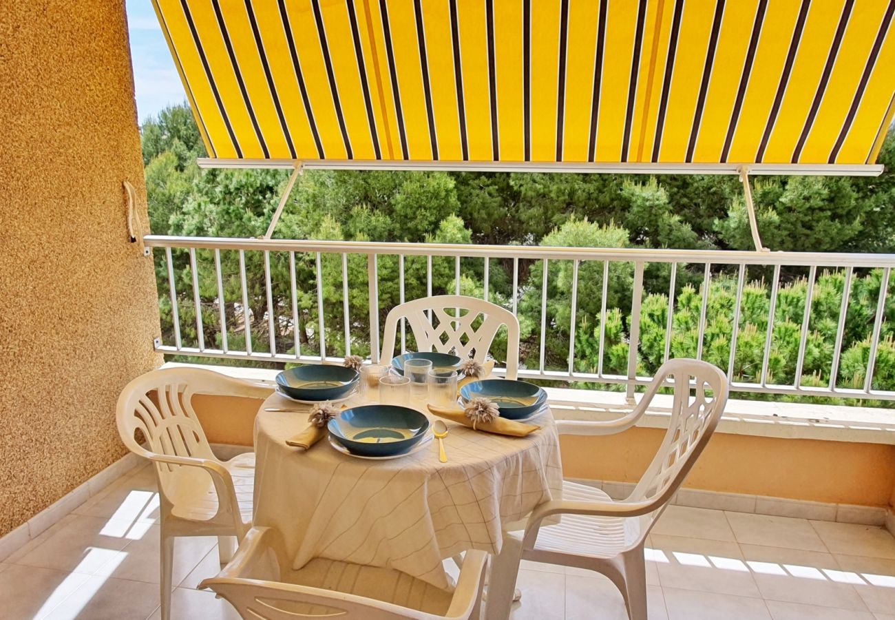 Apartamento en Miramar Playa - EUROPA I - C - 4º - Dcha