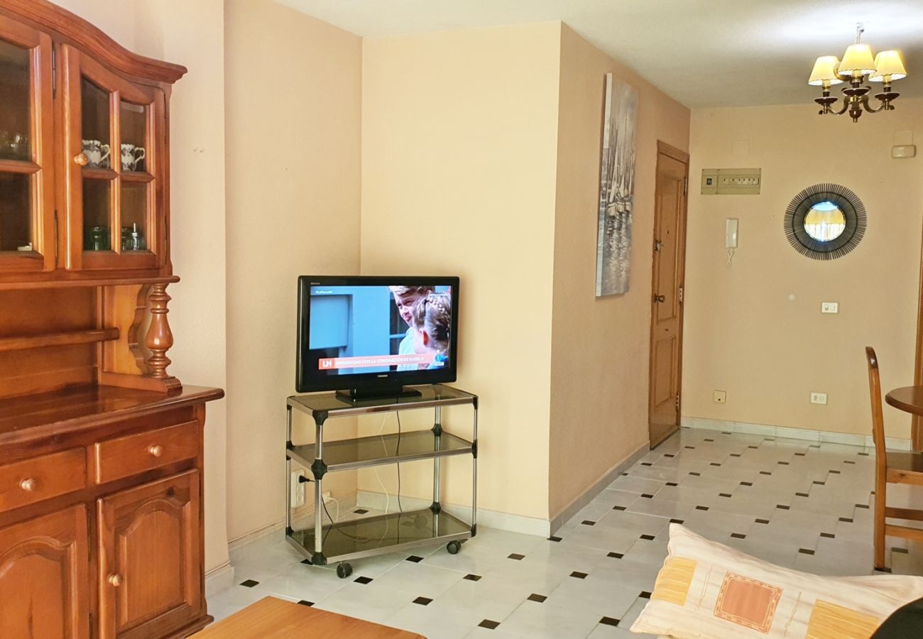 Apartamento en Miramar Playa - EUROPA I - C - 8º - Izq