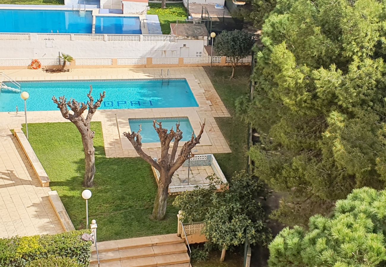 Apartamento en Miramar Playa - EUROPA I - D - 6º - DCHA