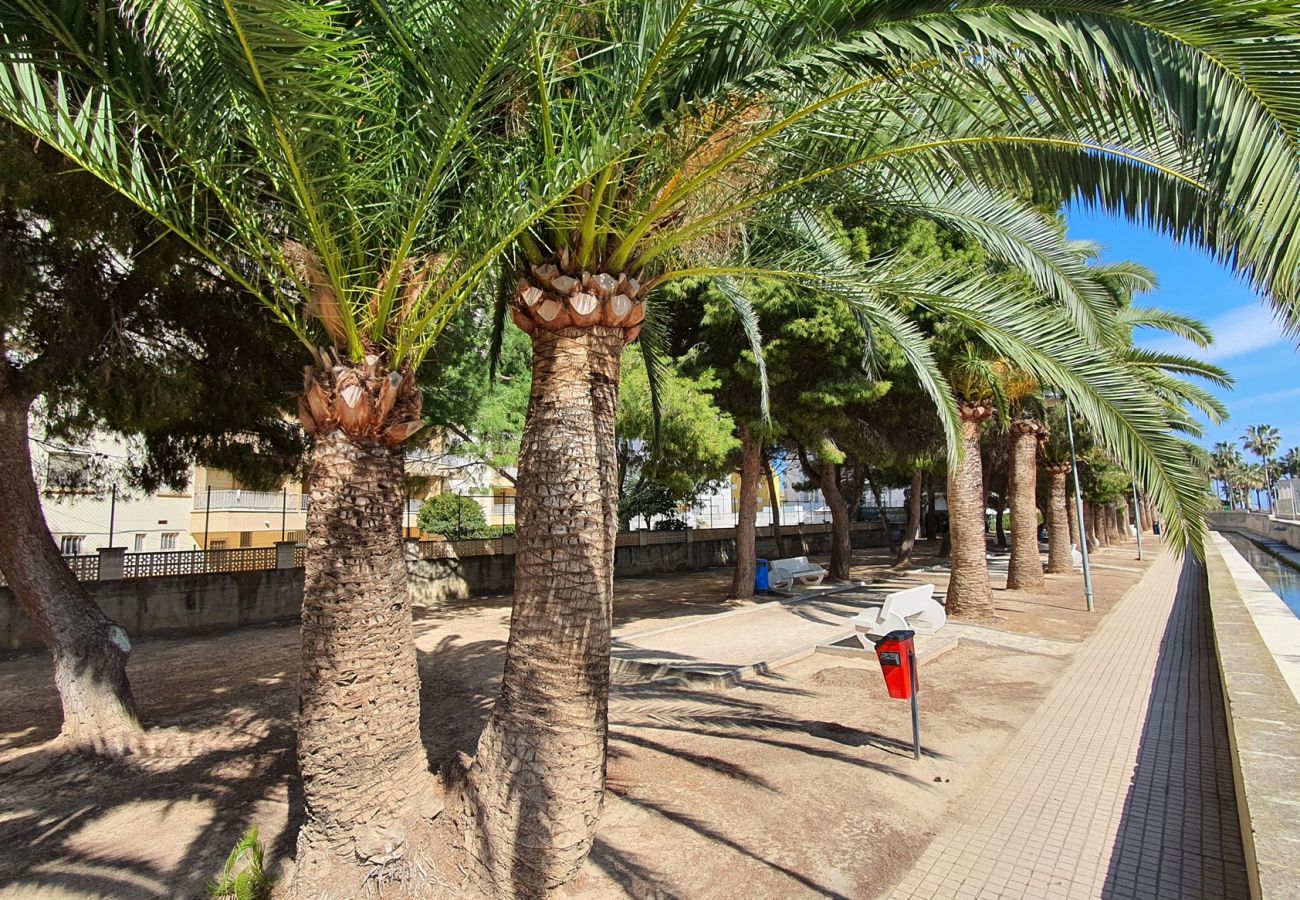 Apartamento en Miramar Playa - EUROPA I - D - 6º - DCHA