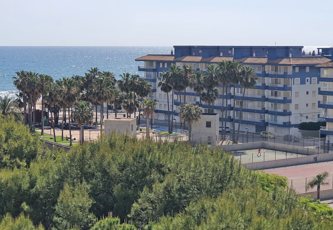 Apartamento en Miramar Playa - EUROPA I - D - 7º - DCHA