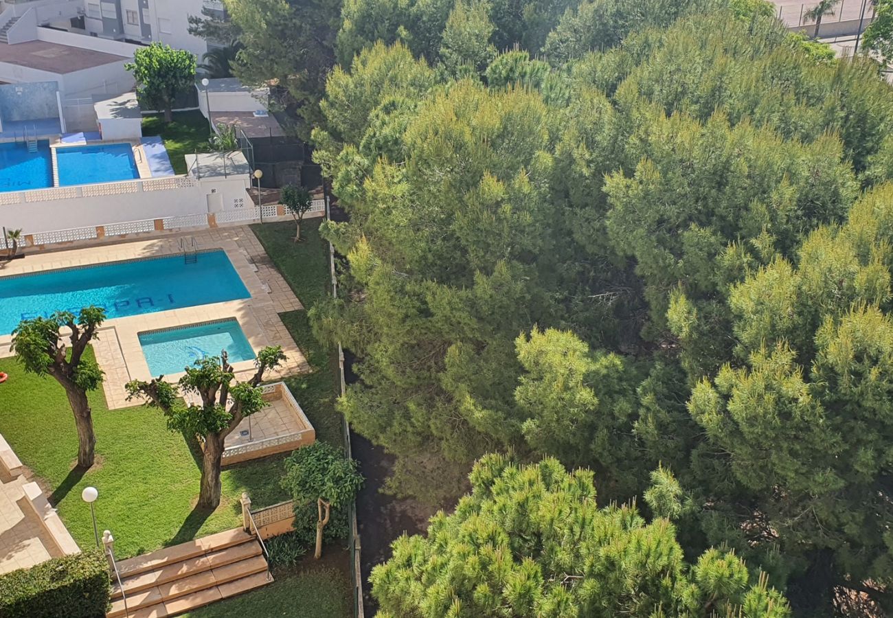 Apartamento en Miramar Playa - EUROPA I - D - 7º - DCHA