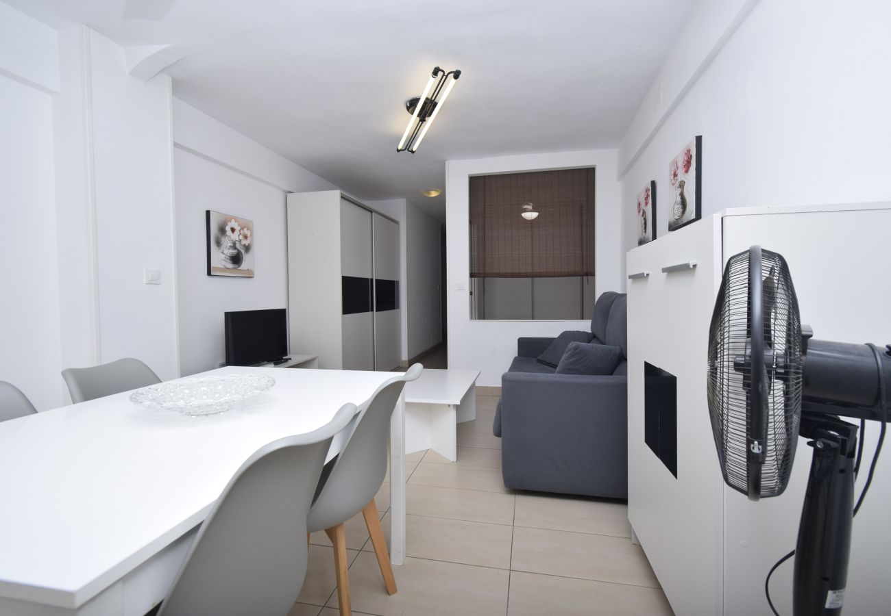 Estudio en Benidorm - CABALLOS 2D (ESTUDIO)
