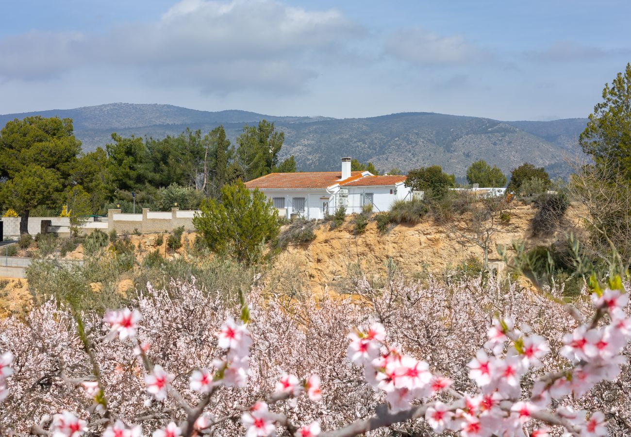 Villa en Ibi - Rustic Escape by Fidalsa