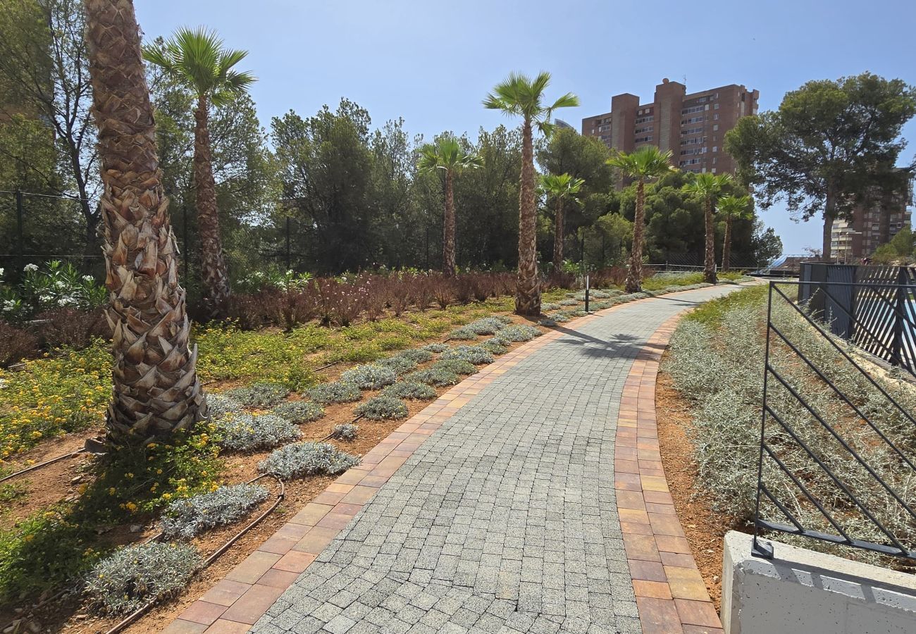 Apartamento en Benidorm - BENIDORM BEACH 20-156
