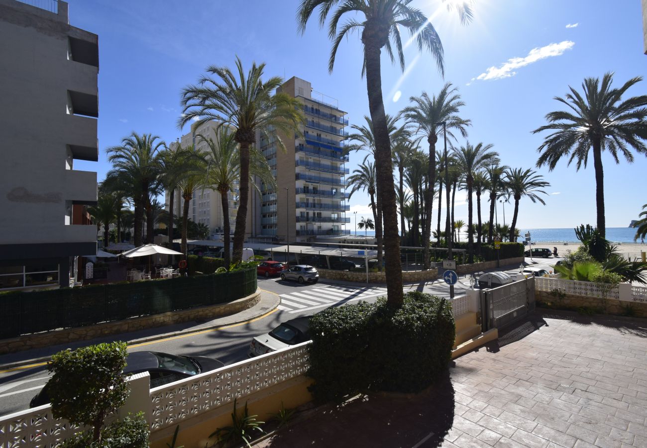 Apartamento en Benidorm - PAX C-1