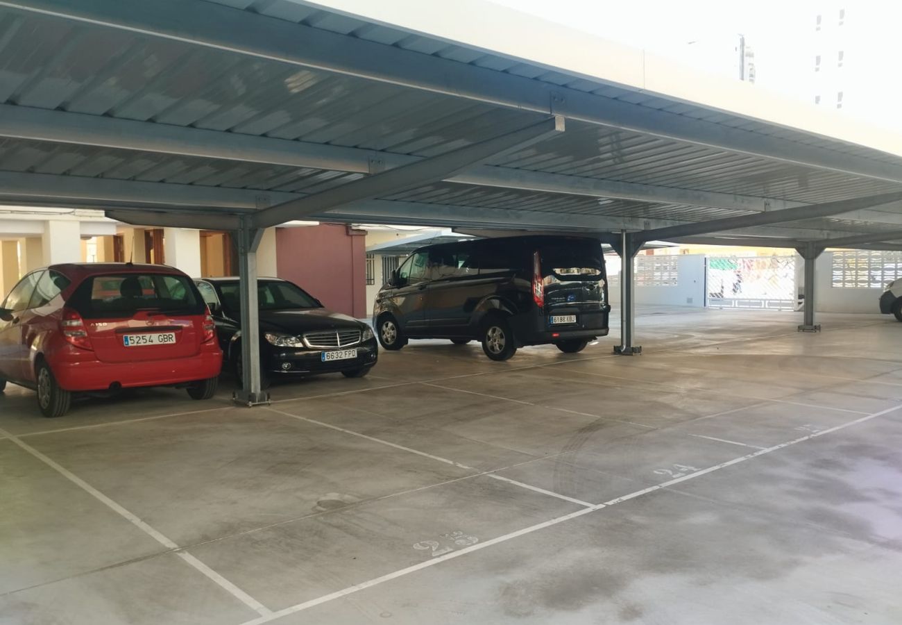 Apartamento en Playa de Gandía - 1.Manacor esc.I 8º pta.15
