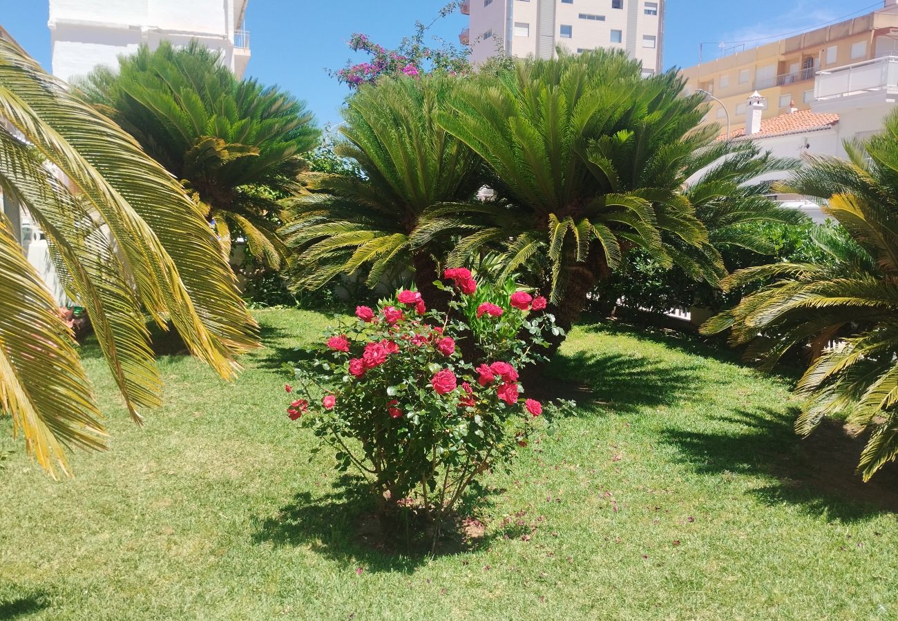 Apartamento en Playa de Gandía - 1.Manacor esc.I 8º pta.15