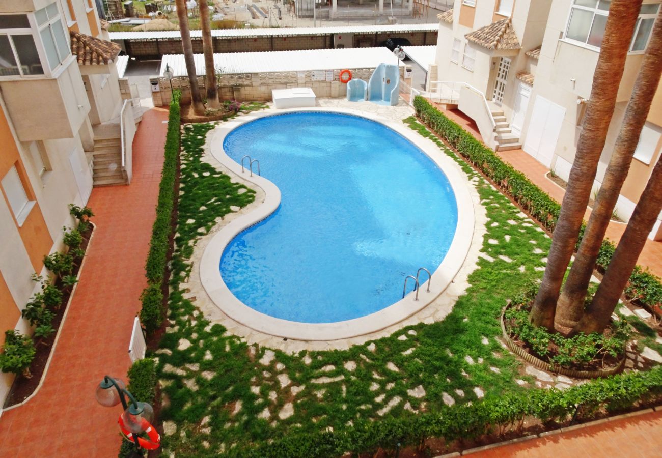 Apartamento en Daimuz - NEPTUNO 3º - 9ª