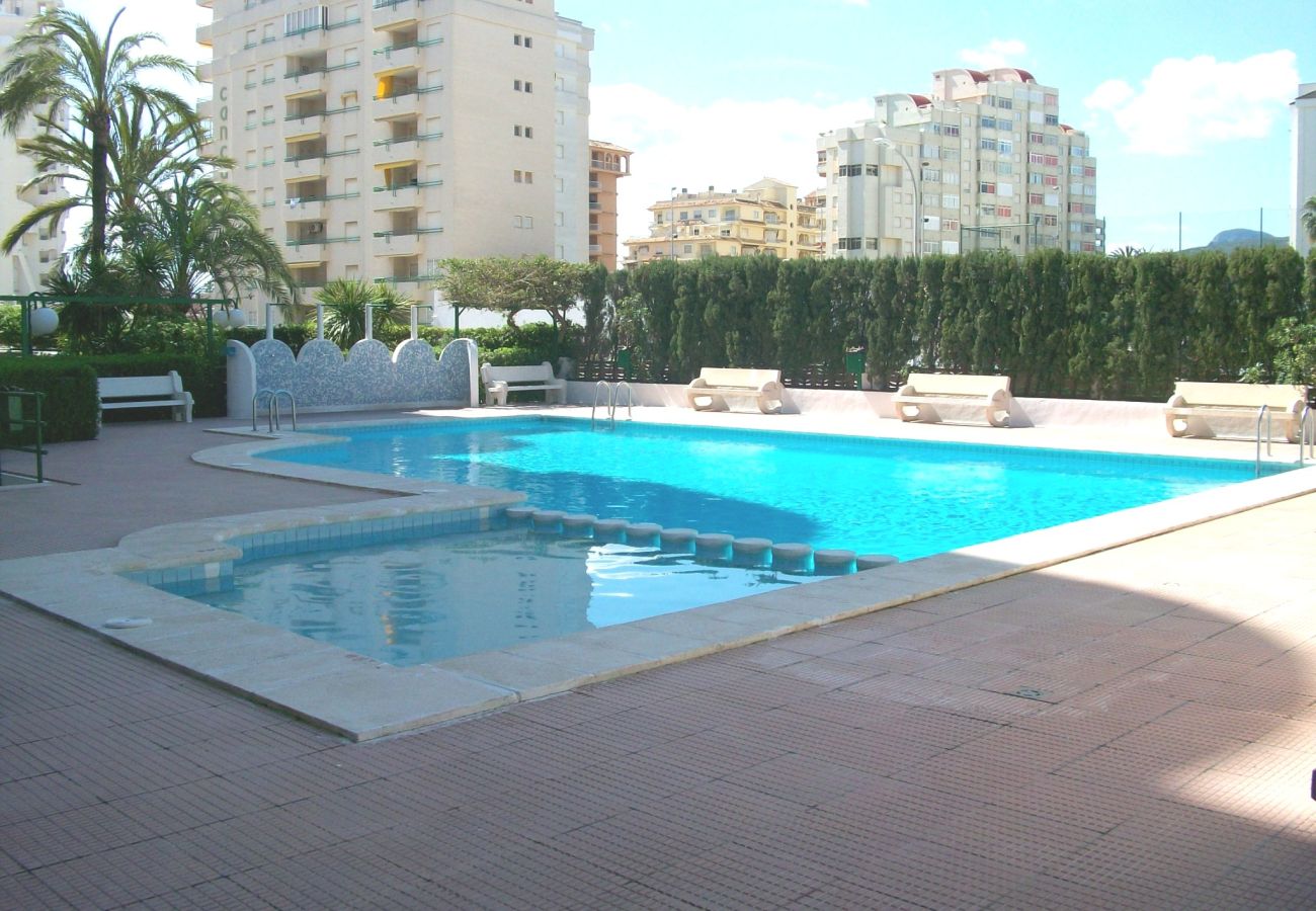 Apartamento en Gandia - CANCUN III - 1ª - 7º - G