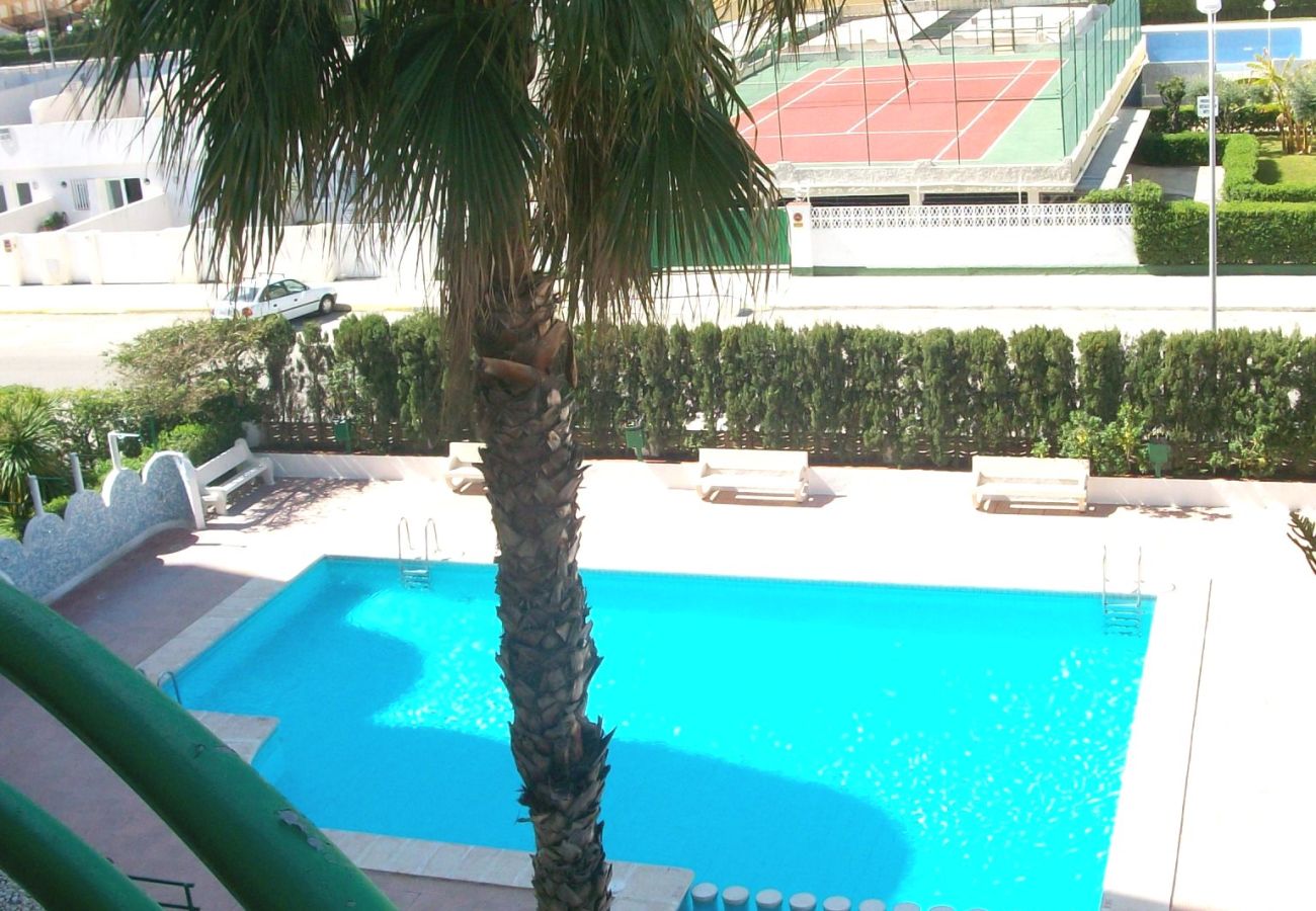 Apartamento en Gandia - CANCUN III - 1ª - 7º - G