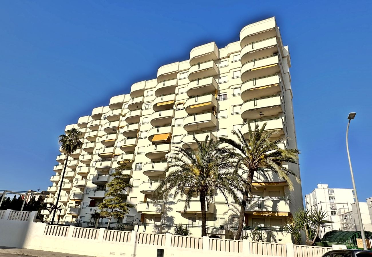Apartamento en Gandia - CANCUN III - 1ª - 7º - G