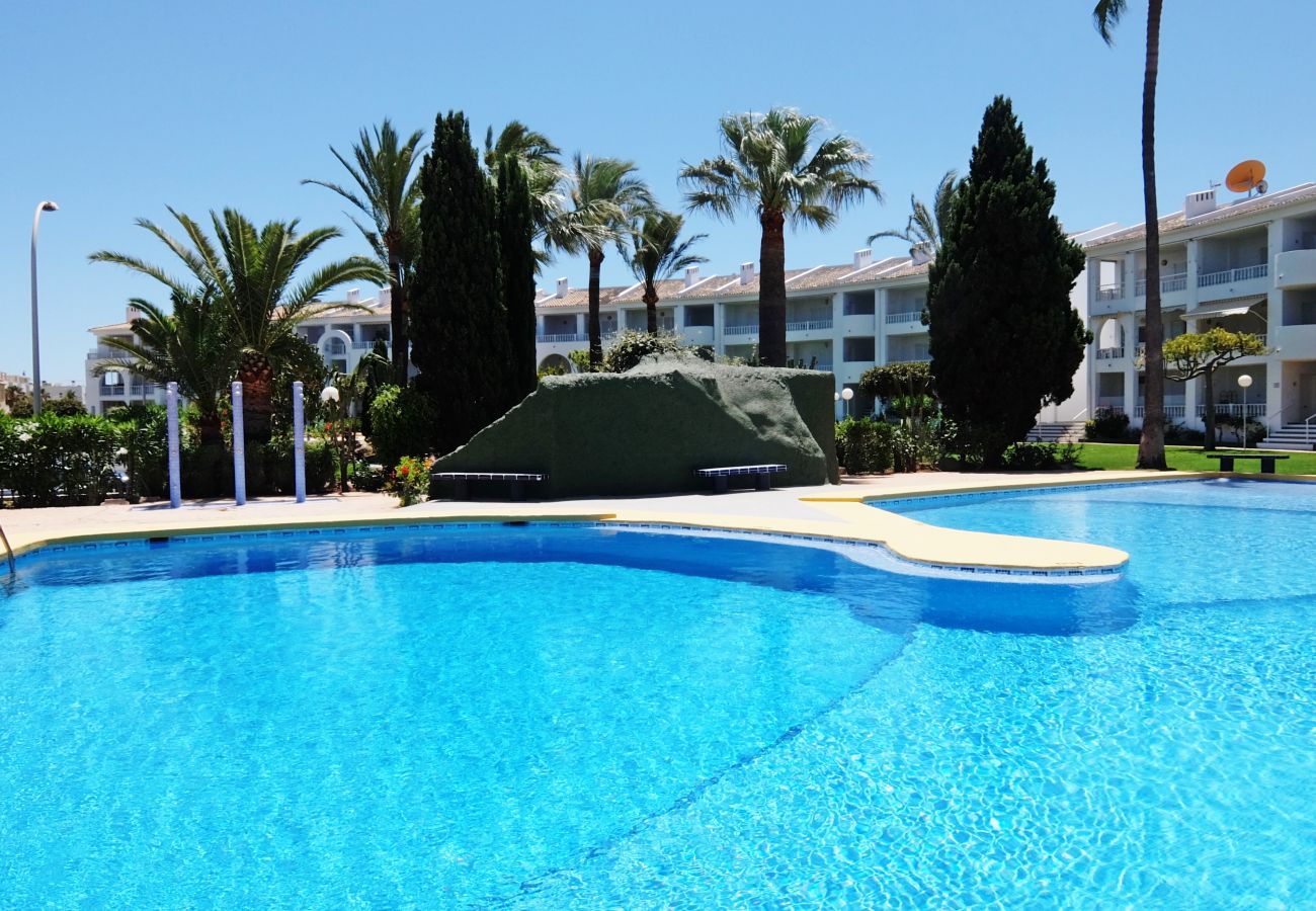 Apartamento en Oliva - MEDIA LUNA E - 1º - 10